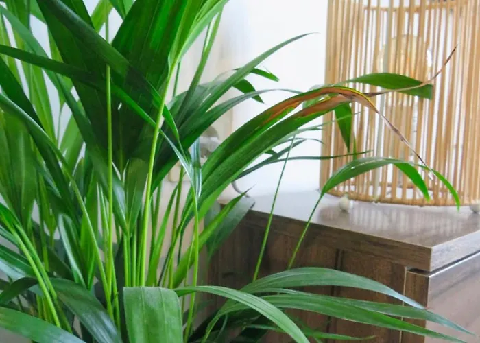 Cima Nevada Διαμέρισμα